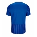 Brighton Pascal Gross #13 Kotipaita 2026-27 Lyhythihainen